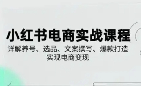 小红书从0-1实操课(2023-2025)，详解养号、选品、文案撰写、爆款打造实现电商变现-掘金阁