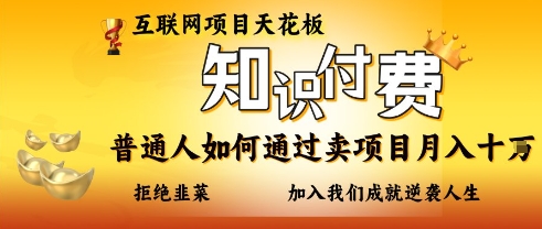 互联网项目天花板，知付付费项目，普通人如何通过卖项目月入十个，拒绝韭菜【揭秘】-掘金阁