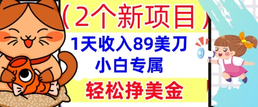 2个新项目，轻松挣美金， 1天收入89美刀，小白专属，干货分享-掘金阁
