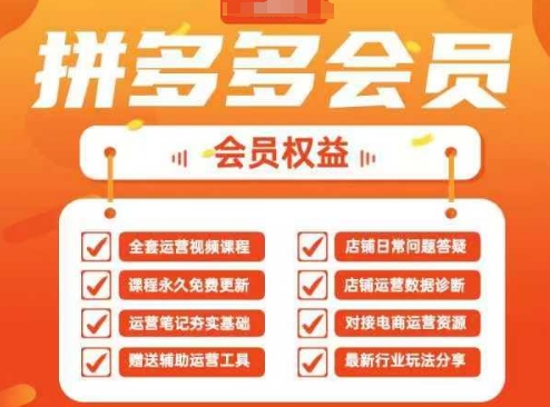 2025拼多多运营实战课，40节全流程教学，覆盖拼多多运营全链路-掘金阁