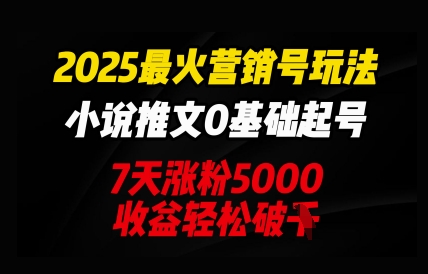 2025最火营销号玩法：小说推文0基础起号，7天涨粉5000，收益轻松破k-掘金阁